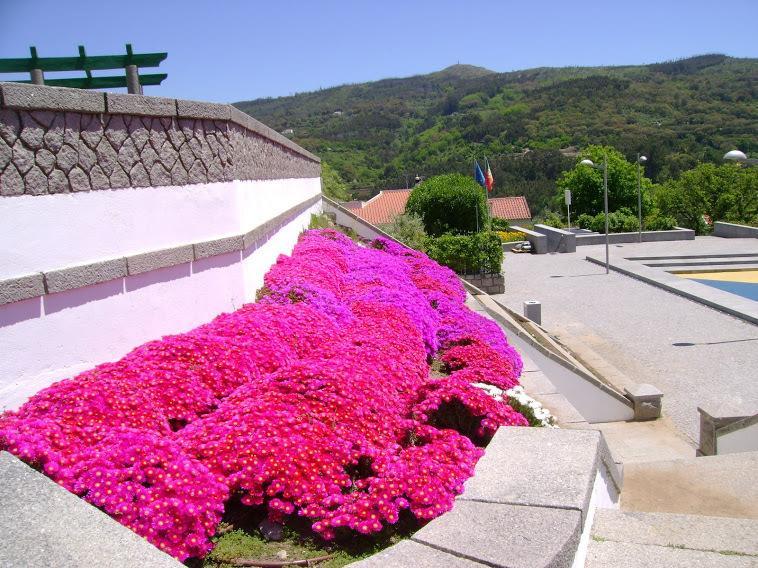 Miradouro Da Serra Моншики Экстерьер фото